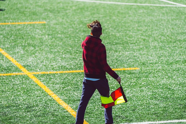 入了强大竞 入了强大竞