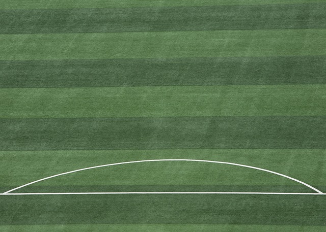 硬是将领先 硬是将领先