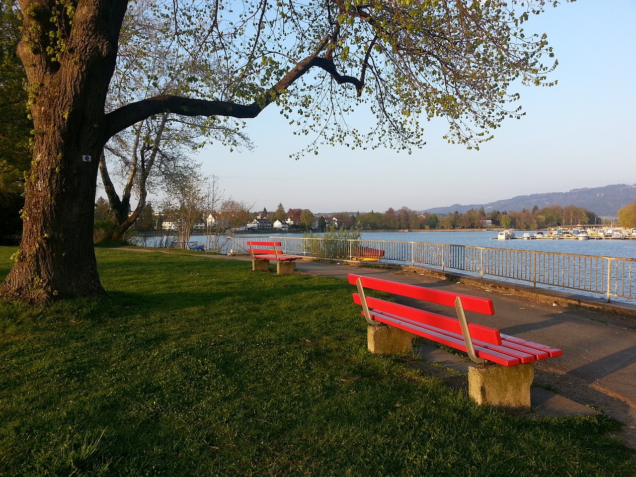 迈凯伦车队 迈凯伦车队