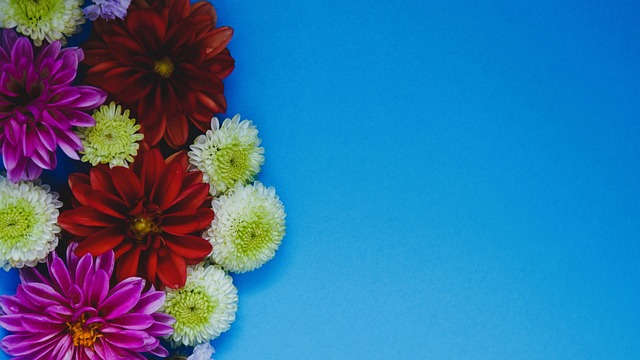 秀的队员和 秀的队员和