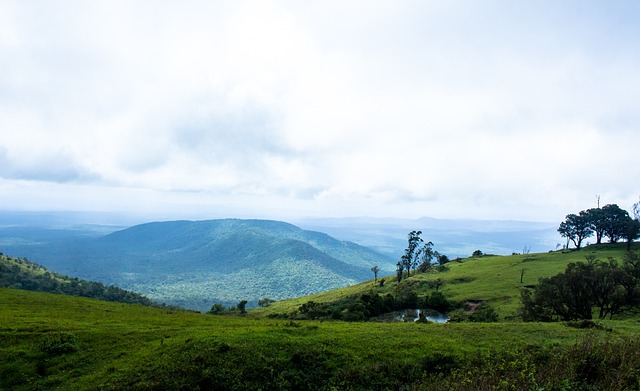 的看点之一 的看点之一