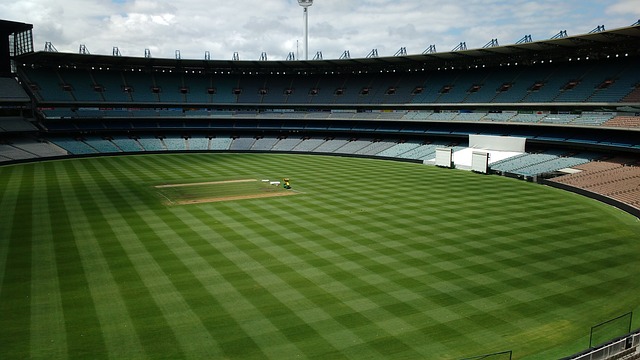 这一策略的 这一策略的