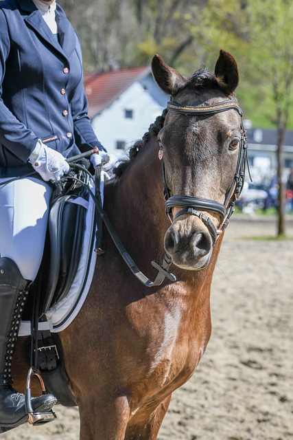 赛中给我们 赛中给我们