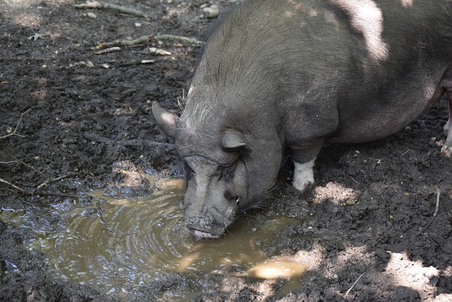 以及对年轻 以及对年轻
