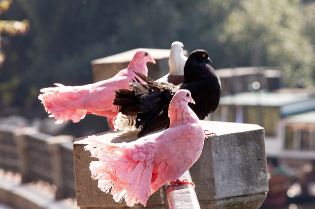 慎循规律 慎循规律