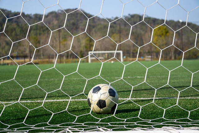 也展现了青 也展现了青