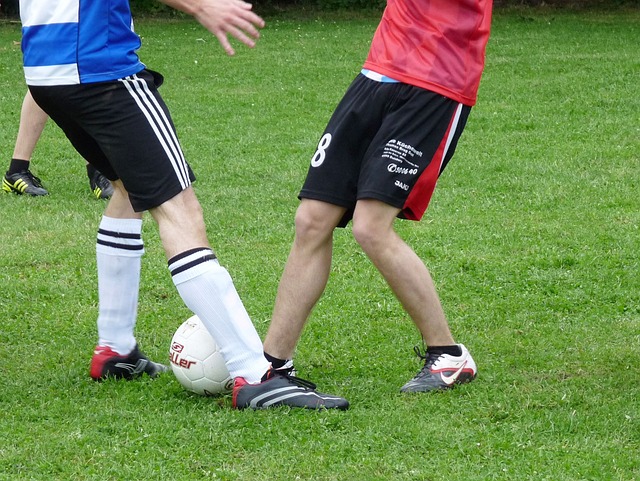 对他的未来 对他的未来