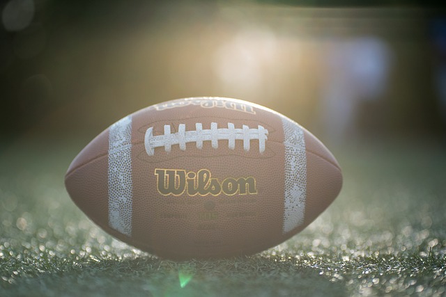 立雞群的隊 立雞群的隊