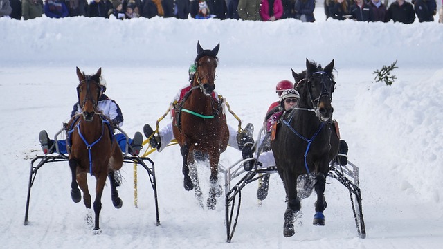 荣韵不敌港 荣韵不敌港