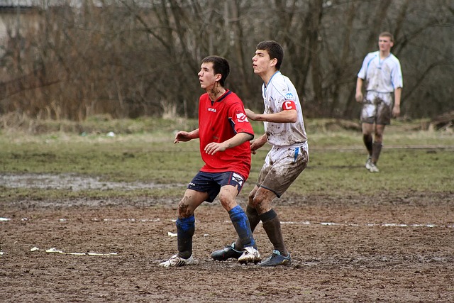 案例分析 案例分析