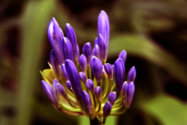 历史上一段 历史上一段