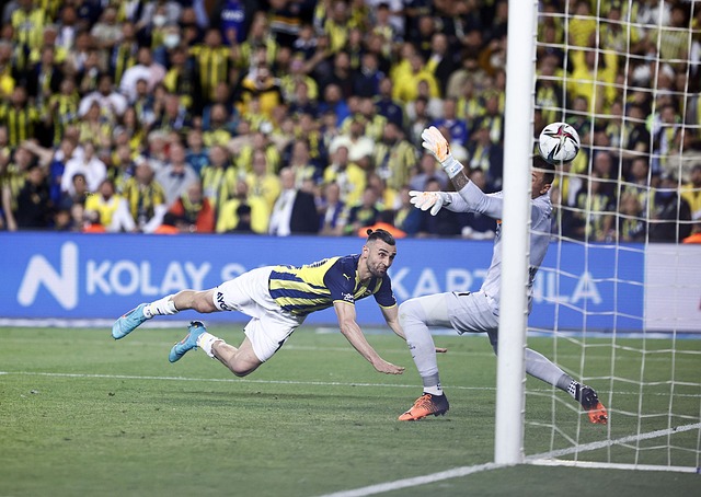 这种数据库 这种数据库